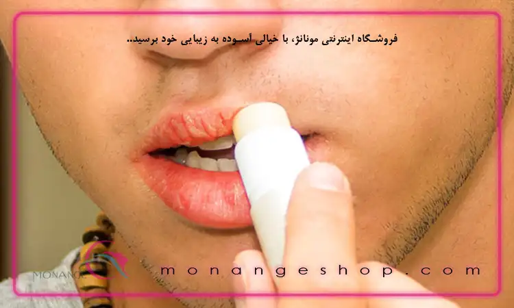 بالم لب چیست و چه کاربردی دارد
